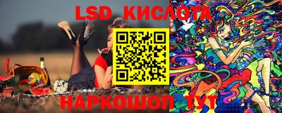прущие грибы Краснодар