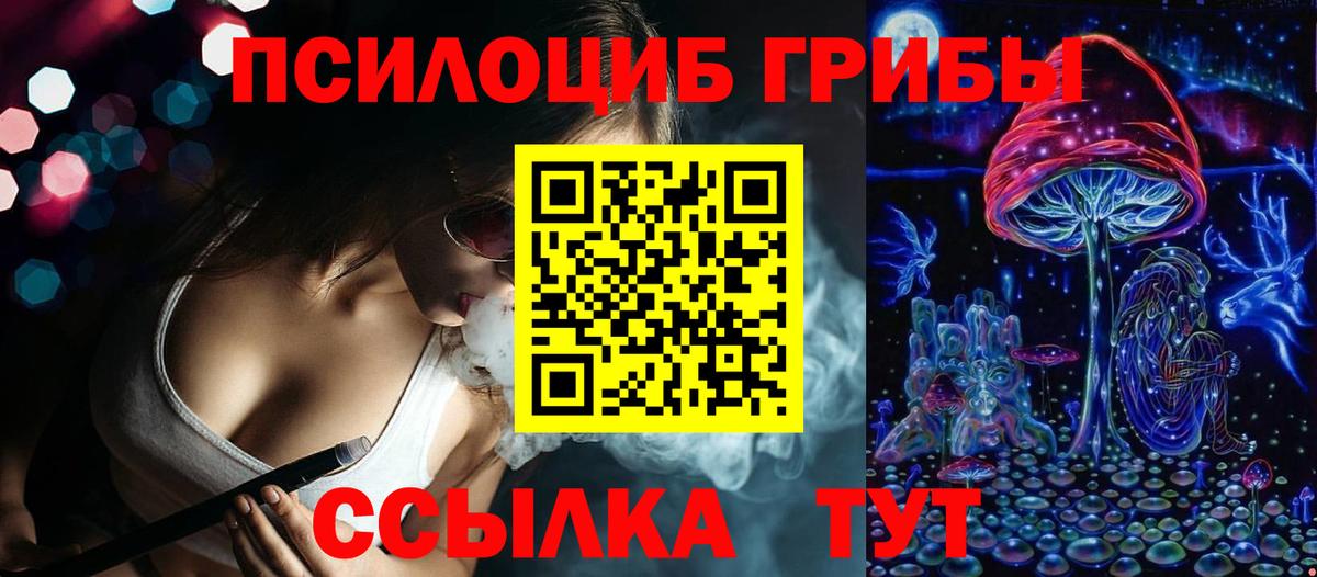 Псилоцибиновые грибы прущие грибы  Вход с VPN  закладка  Кимовск  Галлюциногенные грибы Psilocybe 